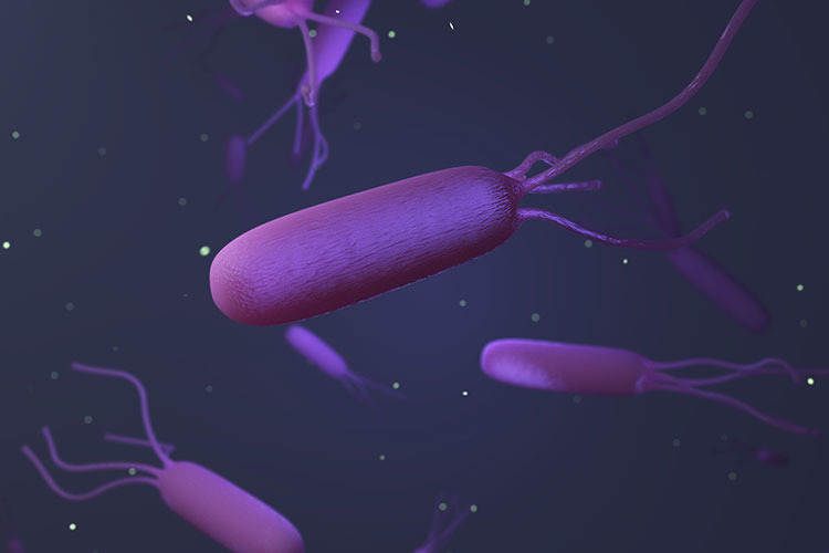 ピロリ菌のイメージ画像